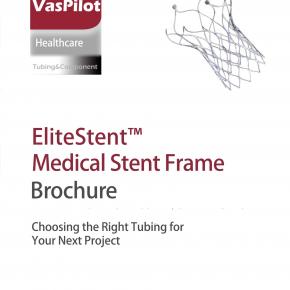 EliteStent™ Medical Stent Frame