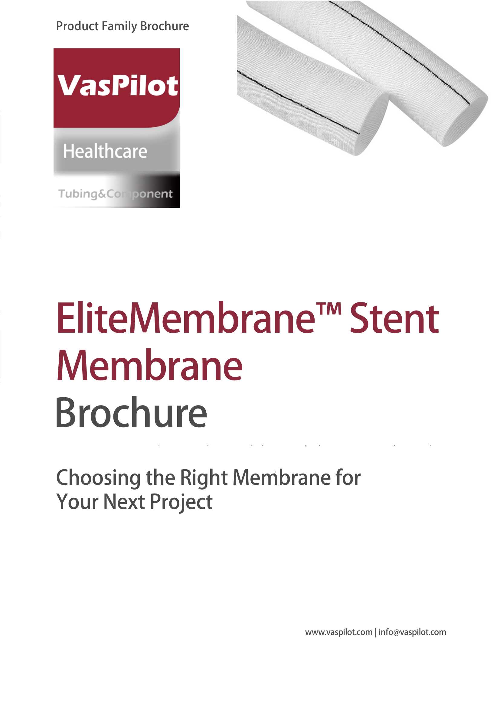 VasPilot-Stent Membrane_1.Jpeg